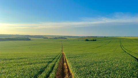 Lambourn