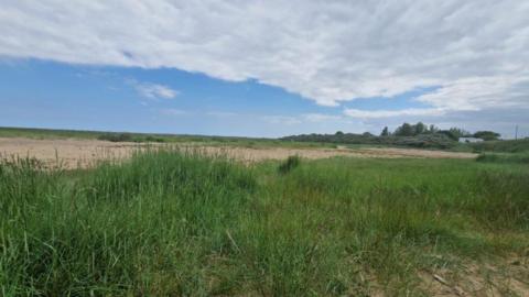 View of Cleethorpes sand dunes. In the foreground, grass and other plants grow among the sand, giving way to a wide patch of bare sand and then more grass. Shrub land can be seen in the background under a cloudy blue sky.