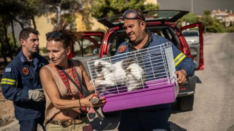 A local holds her cat in a cage as she evacuates with the help of firefighters during a wildfire in Dione