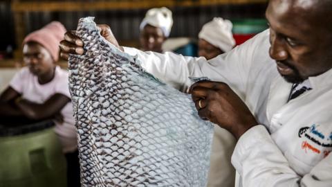 CEO James Ambani shows a tanned fish skin.
