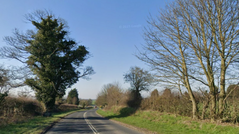 A picturesque country road bathed in sunshine. Trees, grass verges and hedgerows are on either side.