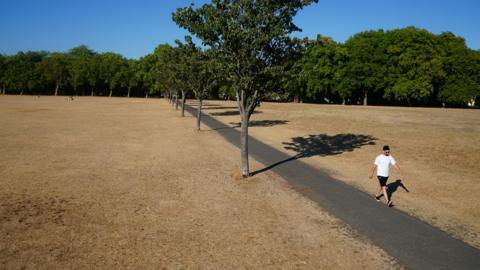 A person walking on a path amongst dead grass in Victoria Park, east London.