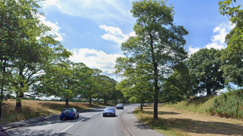A road curves to the right, bordered by tall green trees, with a blue car in the foreground and several others further ahead 