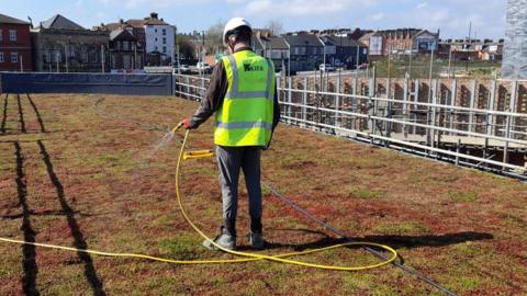 A man in a high-viz vest and hard hat waters the rooftop lawn of the energy centre using a hosepipe.