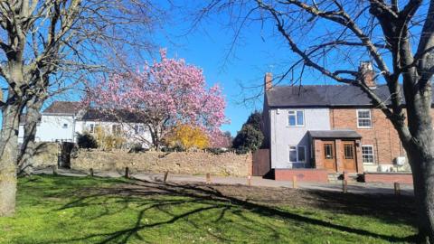 Blue sky over a row of houses with a cherry tree in the garden and grassland with large trees with bare branches opposite