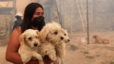 A woman carrying dogs looks on amid smoke from wildfires