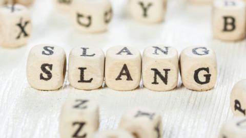 Word "SLANG" formed by wood alphabet blocks placed on an old wooden table.