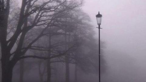 Trees and a lamp post are hazy in a lilac-coloured fog