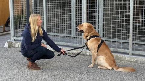 A woman is crouching down looking at a golden retriever which is sitting and looking back at her. She is holding the dog's lead and behind them are some of the redeveloped kennels. The woman has long blonde hair and is wearing a navy sweatshirt and jeans. The dog has its mouth open and is wearing a harness.