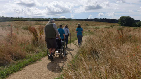 A group of people taking a path through an open space on a sunny day
Wild Woodbury