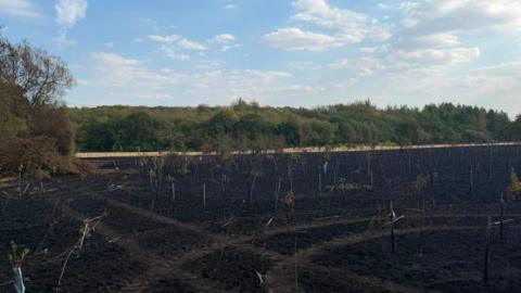 Land damaged by a fire