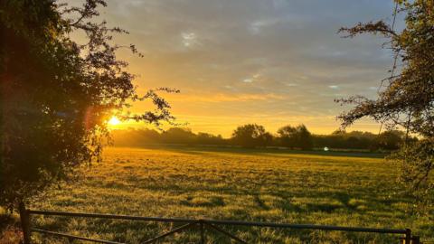 A large grass field shines under a low sun in Abingdon. 