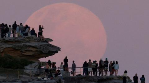 A crowd of people are silhouetted in the foreground on a hilltop in front of the huge orange-tinged supermoon, in Sydney on Wednesday.
