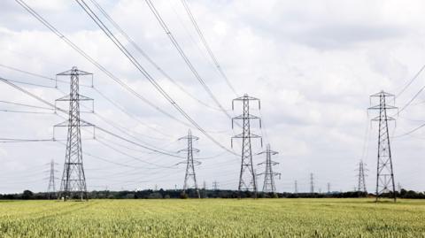 A group of pylons in a green field. The sky is cloudy but bright. 