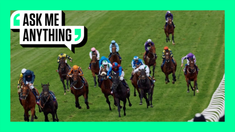 The 2024 Epsom Derby with an Ask Me Anything border around it