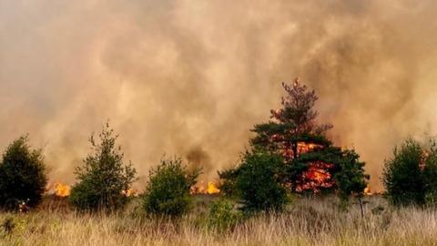 Yateley Common, Blackwater