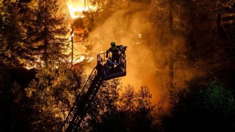 Firefighters tried to protect the village of Hrensko from the spread of the fire on Tuesday