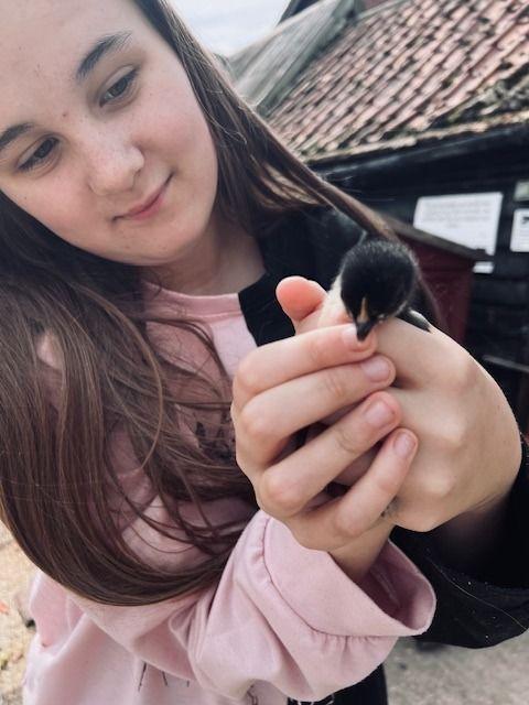 Kelsey is pictured holding a small black chick between both hands outdoors. The chick faces the camera, while rooftops and wooden buildings are visible in the background. The image is a close-up, with the bird and hands in sharp focus.