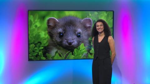 Nina on the Newsround set