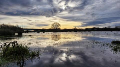 The sun rises in a grey, blue sky across a lake with a tree silhoutted on the horizon