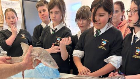 A number of schoolchildren look at a fish held by a person out of shot.