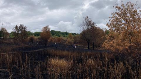 The foreground of the image shows blackened ground and scorched trees. With five people in the distance picking litter from the charred site