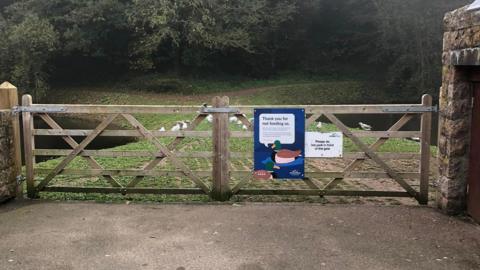 The signs are on a fence. This was taken before they were removed. It is a wooden fence with two signs. One says thank you for not feeding us, with a picture of a duck. The other says please do not park in from of the gate.