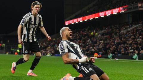 Joelinton sinks to his knees in celebration of his goal