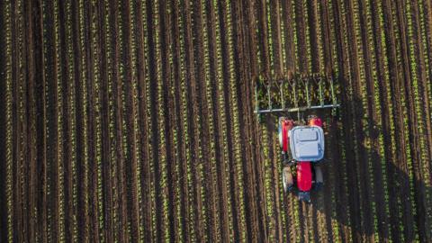 A tractor in a field