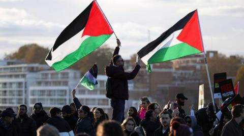 Pro-Palestinian protest in London