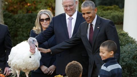 Obama and turkey