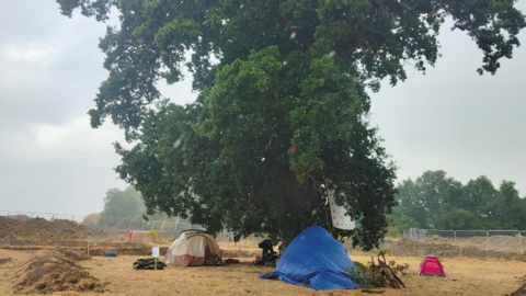 Protesters camping around the Queen Camel Oak Tree