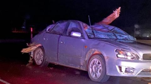 A tree branch speared through the top of a car after a storm in Western Australia