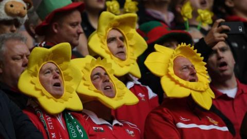 Welsh Six Nations fans