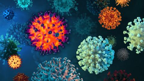 Microscopic view of infectious Covid virus cells