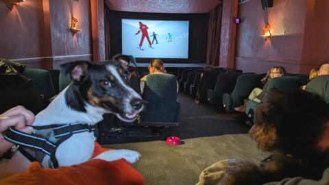 Dogs in cinema