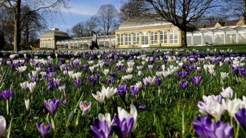 Sheffield Botanical Gardens