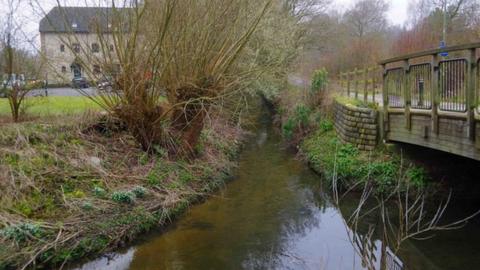 Environment Agency staff are focussing on a 2km stretch of Colwell Brook and Queen Emma's Dyke