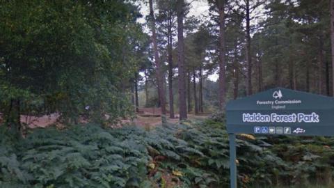 Haldon Forest