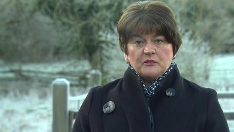 Arlene Foster