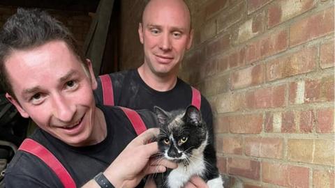 Two firefighters with a cat they have rescued from a wall
