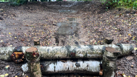 A dam built from two long horizontal logs supported by four shorter logs.  It stands across a channel, in a woodland, where some water is flowing