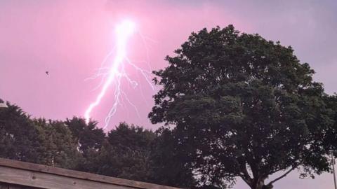 A lightning strike in a purple sky. There is a tree in the image.