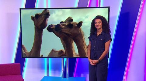 Shanequa on the Newsround set