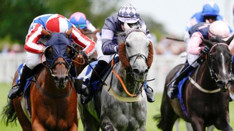 A group of three jockeys ride their horses towards the camera during a race at Salisbury Racecourse. The jockeys are wearing a variety of colours on their tops and hats, and all the horses have their nostrils flared as they head to the finish line
