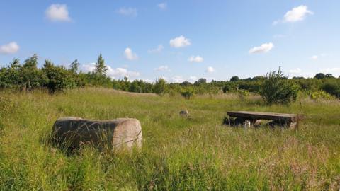 TUESDAY - A green field under blue skies in Witney, where a dog can be seen taking shelter beneath a bench