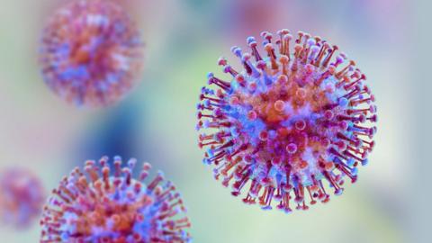 Hantavirus