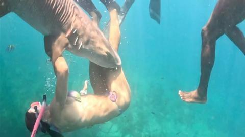 A nurse shark attacking a person underwater