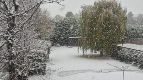 A wintery scene. Snow covers lawn and trees in a back garden. Snow can be seen falling.