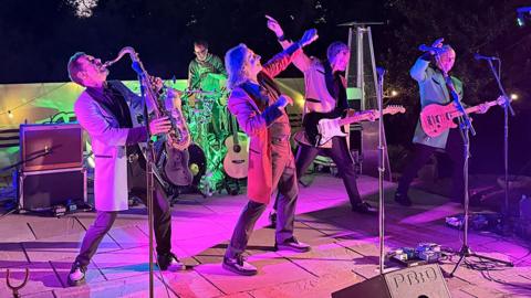 Showaddywaddy performing in the garden, pointing to the sky as they dance in teddy boy outsits, lit pink from the lights